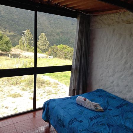 Hospedaje Y Camping Del Rio Монги Экстерьер фото