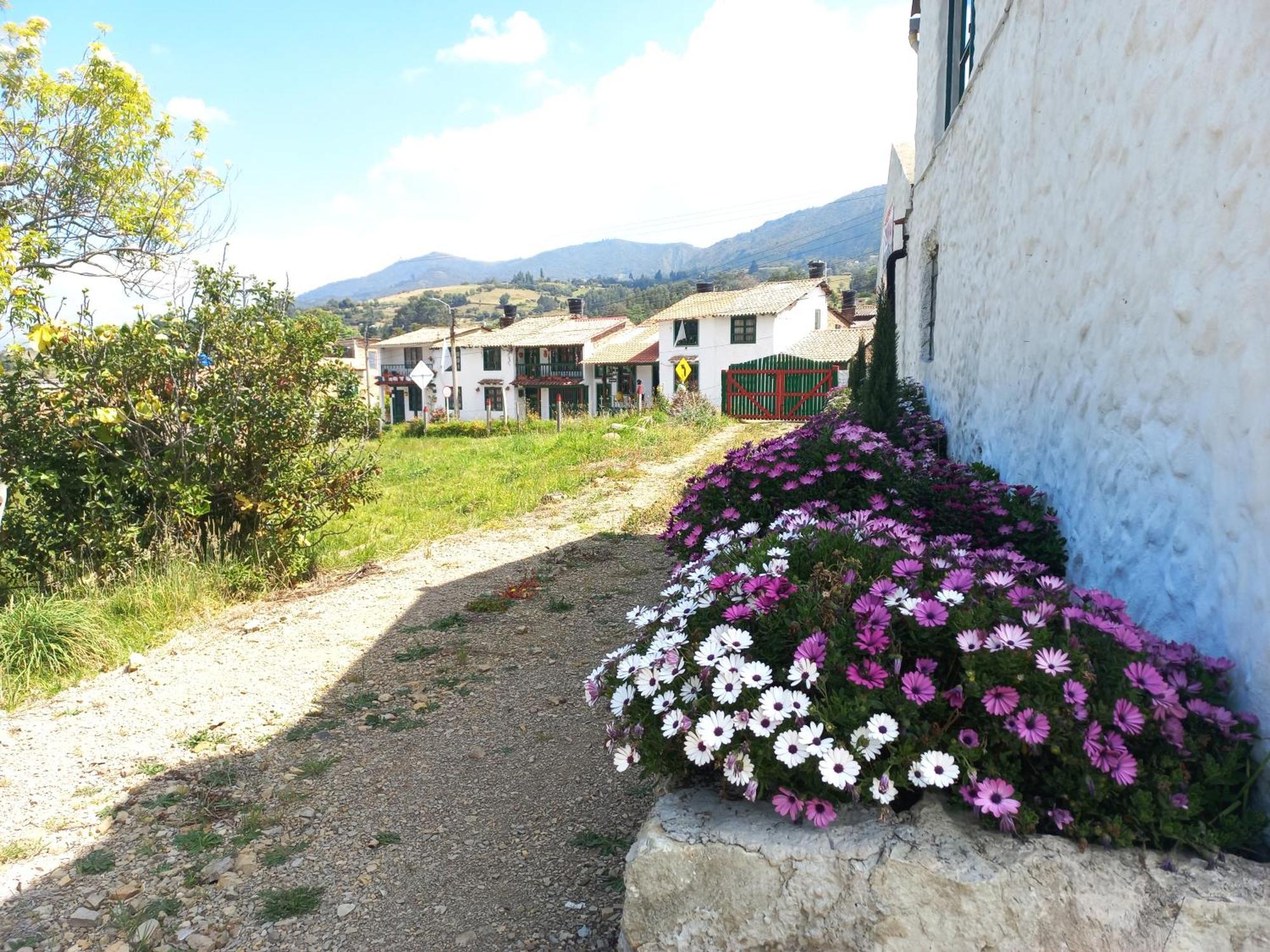 Hospedaje Y Camping Del Rio Монги Экстерьер фото