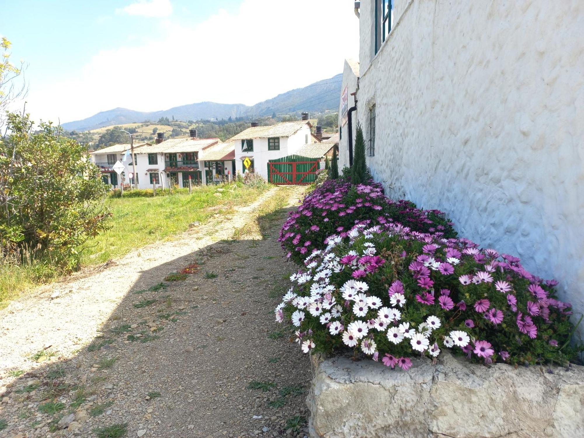 Hospedaje Y Camping Del Rio Монги Экстерьер фото
