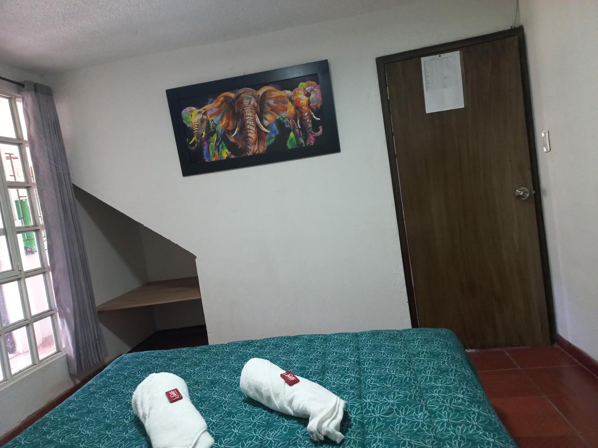 Hospedaje Y Camping Del Rio Монги Экстерьер фото